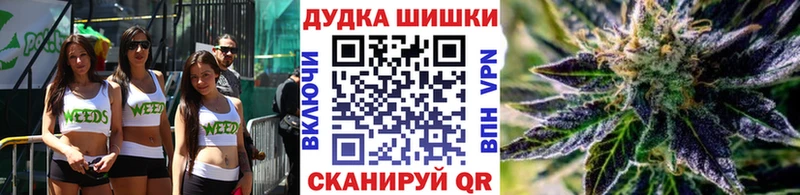 Шишки марихуана планчик  Волоколамск 